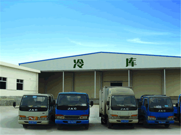 湖北省神龙架大型板栗保鲜库